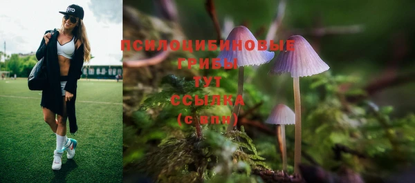 ECSTASY Алексеевка