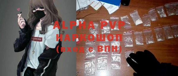 СК Алексин
