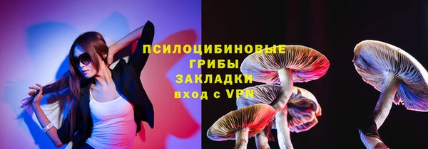ECSTASY Алексеевка