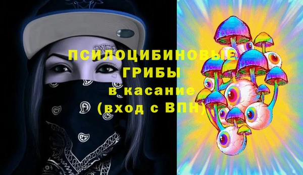 СК Алексин