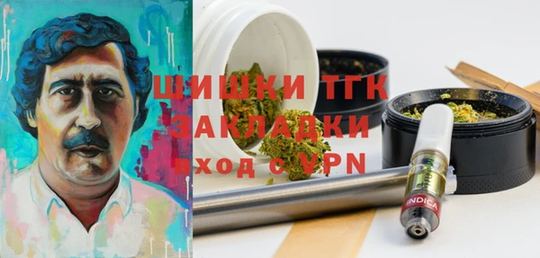 СК Алексин