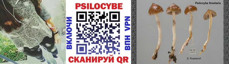 Псилоцибиновые грибы Psilocybe  Чердынь 